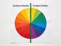 Roue chromatique divisée en couleurs chaudes (rouge, orange, jaune) et froides (vert, bleu, violet). Un test de colorimétrie visuel.
