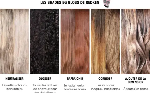 Comparaison de la colorimétrie cheveux : neutraliser, glosser, rafraîchir, corriger et ajouter de la dimension avec Redken Shades EQ Gloss.