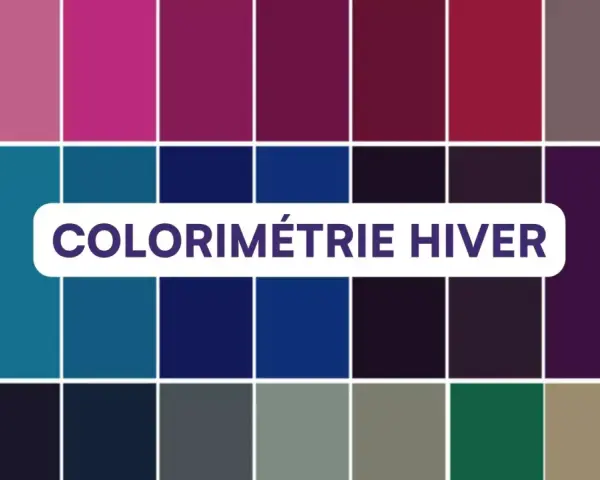 Palette de couleurs pour la colorimétrie femme hiver : bleus vifs, violets profonds, roses froids et gris.